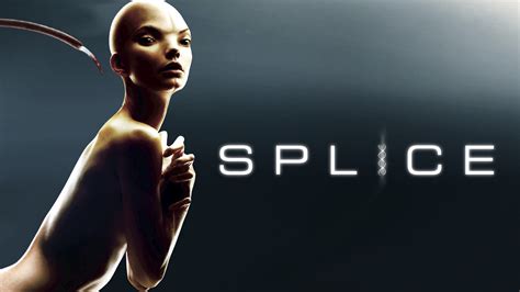 Where can i watch splice. Things To Know About Where can i watch splice. 